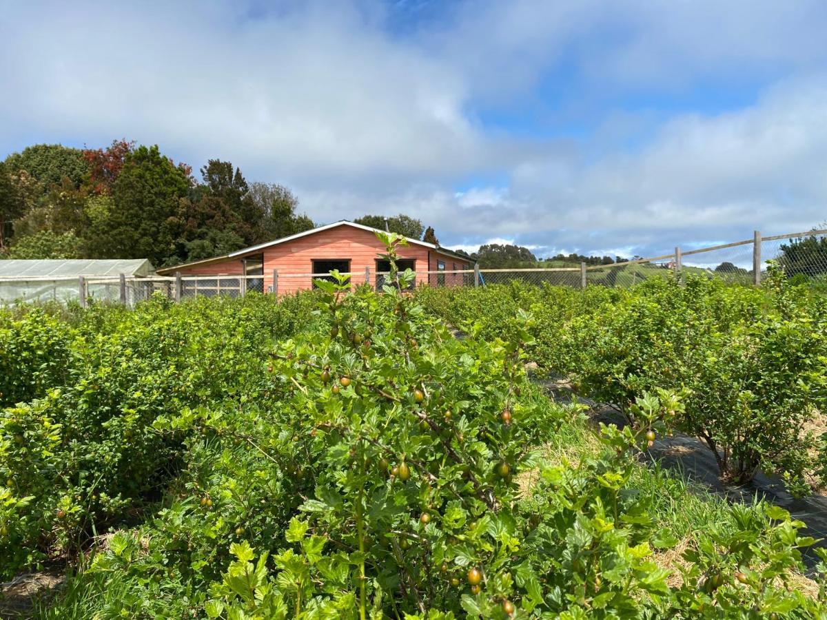 Cabana Nueva En Ancud Chiloe מראה חיצוני תמונה